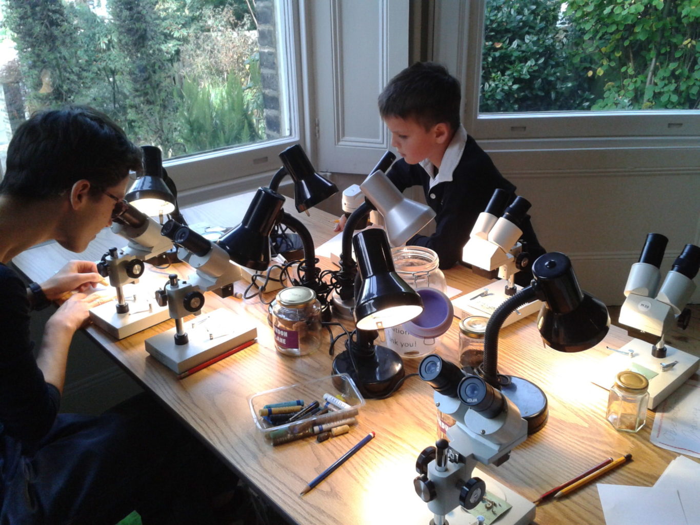 Open Morning with Microscopes