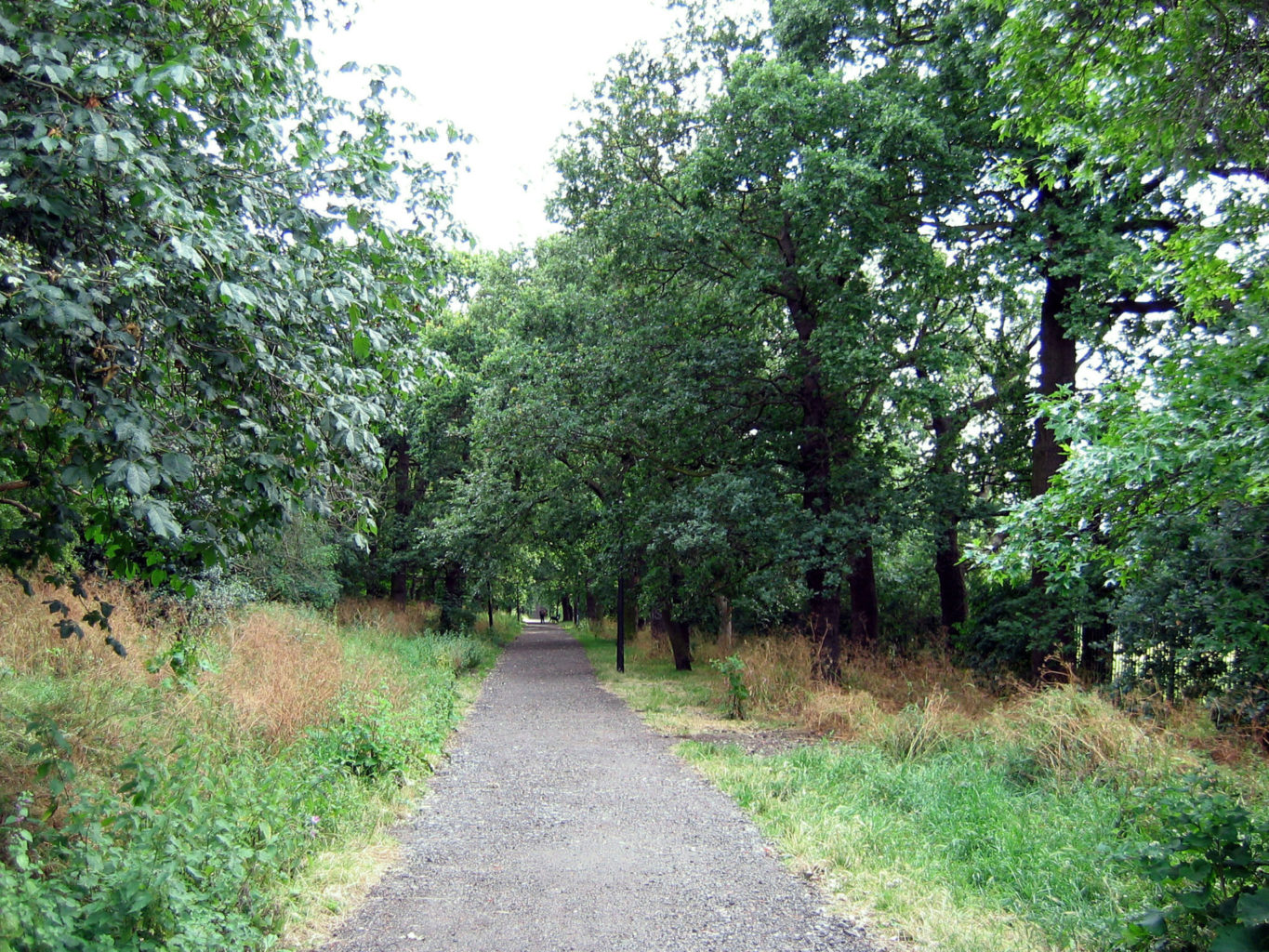 Great North Wood Walk