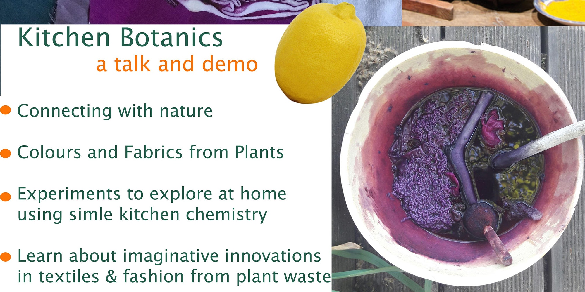Kitchen Botanics: Colours and Fabrics from Plants