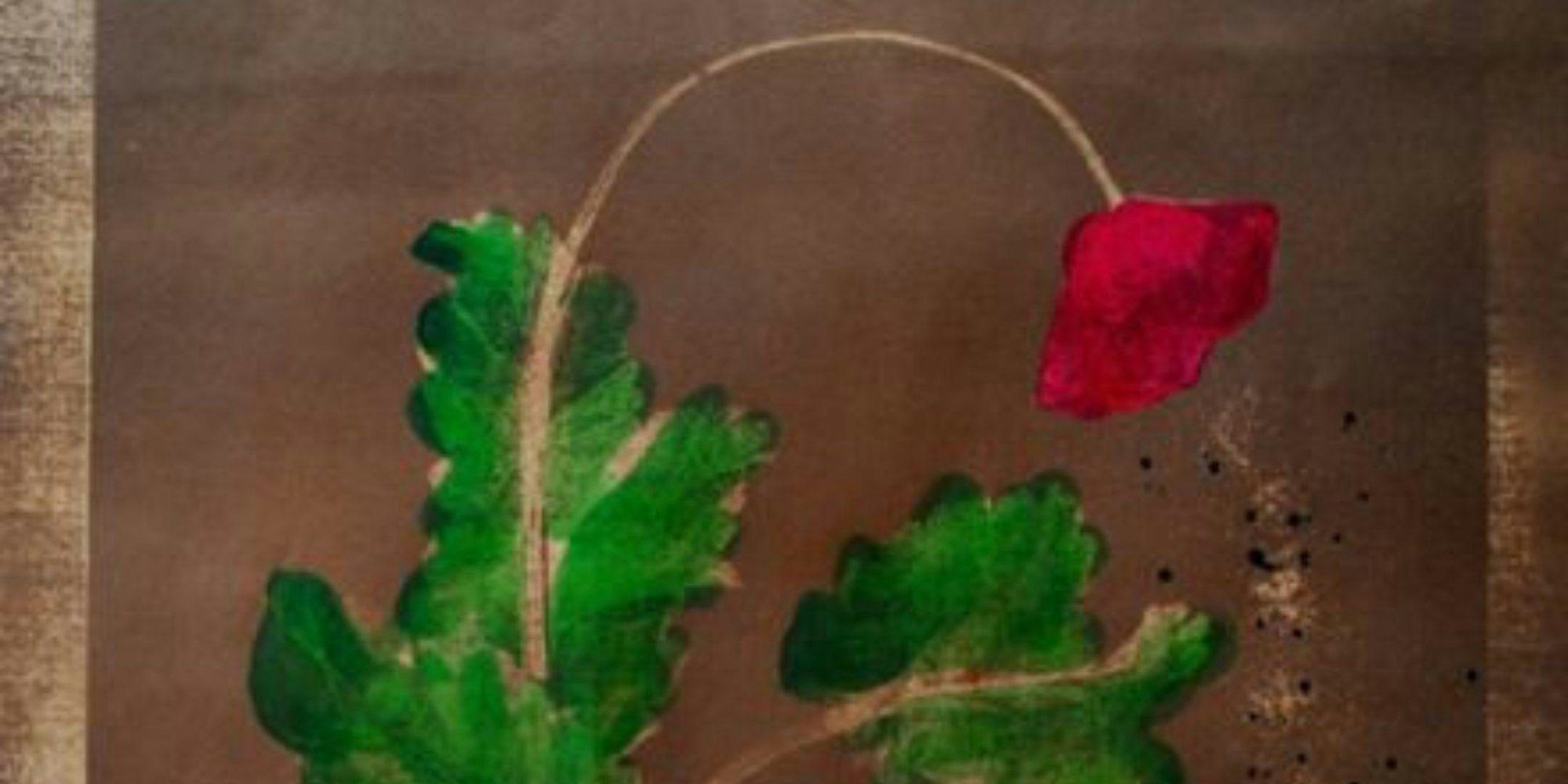 Fertile Ground: Urban Land Work
