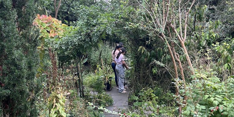 Two visitors enjoying the SLBI garden, surrounded by foliage and plants.